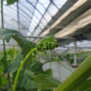 화수농장 이미지