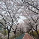 성일모텔 이미지