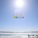 MAX태권도장 이미지