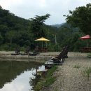 양지별밤 이미지