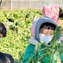 나래영재어린이집 이미지