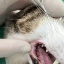 달래내로 이미지