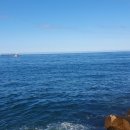 정동진놀자 이미지