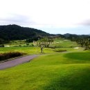 화순골프존 이미지