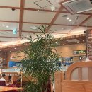 돌고래와펭귄 | 나고야항 수족관 후기! - 돌고래 공연, 사카에역에서 이동, 흡연실