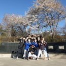 한국체대비전태권도장 이미지