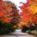 도리한의원 이미지