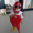 국가대표 월드클래스 태권도 이미지