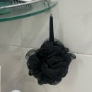 볼로PC | 샤워볼 추천 생활공식 저자극 제품 8개월 사용해본 솔직 후기