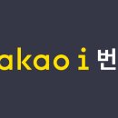 kakao 번역 이미지