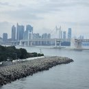 해운대기와집대구탕 남천점 | 광안대교를 바라보며 대구탕 한그릇 (해운대기와집대구탕 남천점)