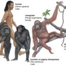 조코치의 수영교실 이미지