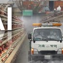 형국농장 이미지