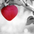 무을초교 이미지