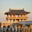 호미곶돌문어사업협동조합 | 24.06 _ 포항국제불빛축제 LED풍선 만들기체험