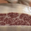 cultured meat 이미지