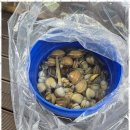 안면도 카사블랑카 | 가성비좋은펜션 특별한 안면도 여행, 삼봉 카사블랑카 펜션 후기