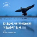 대송