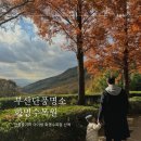 부산 화명동 단풍 명소 화명수목원 아기랑 가을느끼기 온실은 공사중