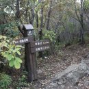 평원상회 이미지