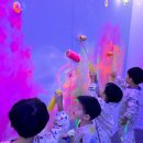 유어팔레트