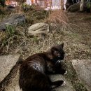 씽씽탁구(오후) | 파크로쉬 가는길 / 시설 / 얼리체크인 후기