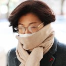 안성시장 이미지