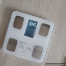 다이어트] 클렌즈랩-일반식-클렌즈랩 퐁당퐁당 실질적 2일 실천 1.1kg 감량후기(식단, 운동정보 있음)
