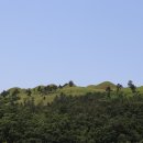 주산체육관 네이버블로그