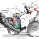 휘트니스 에스온 이미지