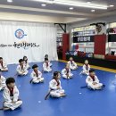 경희대 현대 태권도 이미지