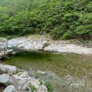 용소골민박 | 강원도 삼척 덕풍계곡 캠핑장 2야영장 캠핑 물놀이 후기