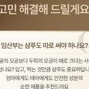 로블 이미지