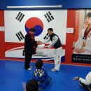 한국부부태권도 이미지