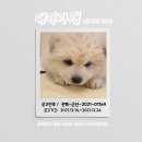 군산시-01169 네이버블로그