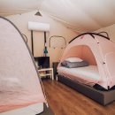 더 포레스트 이미지