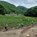 용상동행정복지센터 이미지