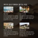 제주감성 이미지