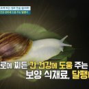 임동농장 이미지