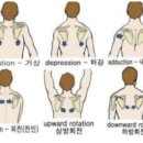 로얄핏PT 이미지