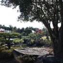 쭉돌농장 이미지