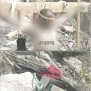 마귀할미통시바위(895m,문경),손녀마귀통시바위,용추계곡,월영대 이미지