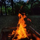 대둔산 수락캠핑장 이미지