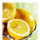 레몬트리 이미지