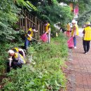 대한노인회 구로구지회 이미지