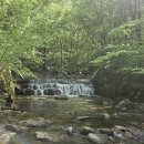 {1일2산가능} 민주지산 최단코스 민주지산 자연휴양림 등산코스 블야인증