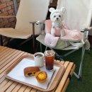 화성1리 | 화성 애견동반 카페, 크리스마스 포토존+펫존+운동장 한 번에!