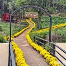 숲속 향기 작은도서관 이미지