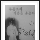 섬진아트홀 앞 Daum카페