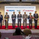 대사일 태양광발전소 이미지